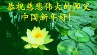 巴西、南美和非洲地區大法弟子恭祝李洪志大師新年好
