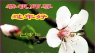 大陸各行業大法弟子恭祝李洪志大師過年好（十一）