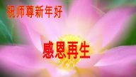 遼寧大法弟子恭祝李洪志大師過年好（三）