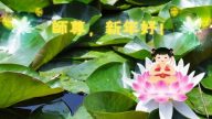 鄭州大法弟子恭祝李洪志大師新年快樂