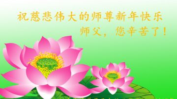 山东大法弟子恭祝李洪志大师新年快乐（二）