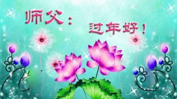 大陆河南大法弟子恭祝李洪志大师过年好（三）