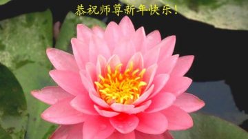 河北大法弟子恭祝李洪志大师过年好