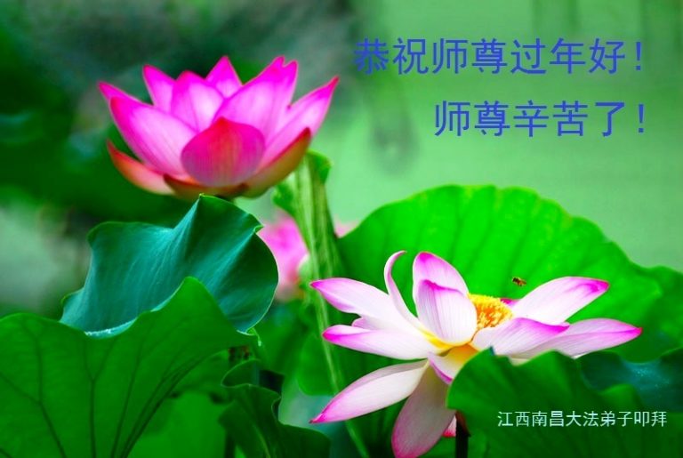大陸江西大法弟子恭祝李洪志大師過年好（三）