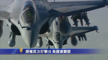 授权地面部队打击IS 美国会将听证