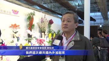 國際蘭花展 民眾爭相欣賞冠軍蘭花作品