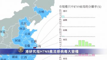 港研究指H7N9禽流感病毒大變種