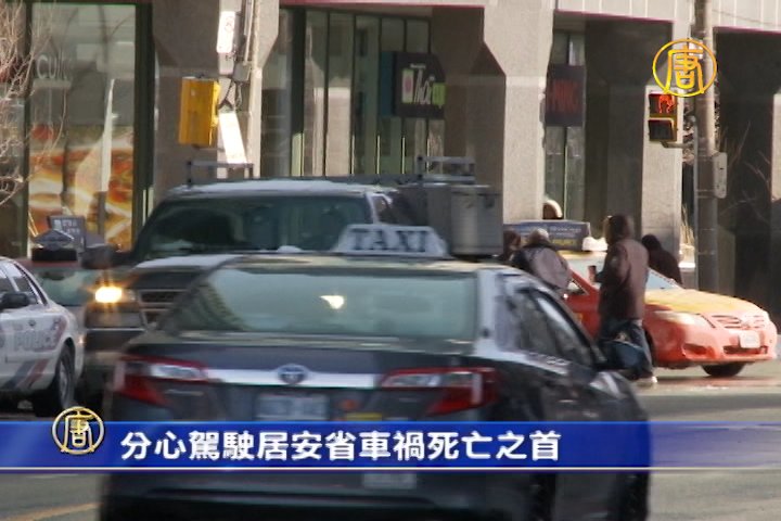 分心駕駛居安省車禍死亡之首