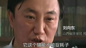 山西原环保厅长被查 曾出镜《穹顶之下》