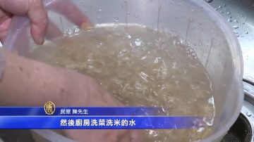 全民齐抗旱 居家简易省水大作战