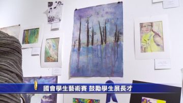 國會學生藝術賽 鼓勵學生展長才