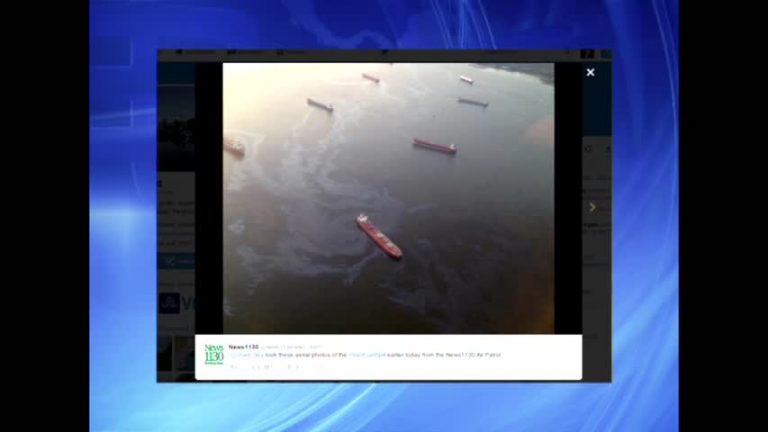 漏油污染不可逆 海洋生態影響大