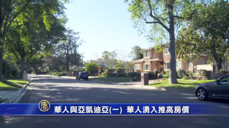 【特別報導】華人與亞凱迪亞系列報導之一