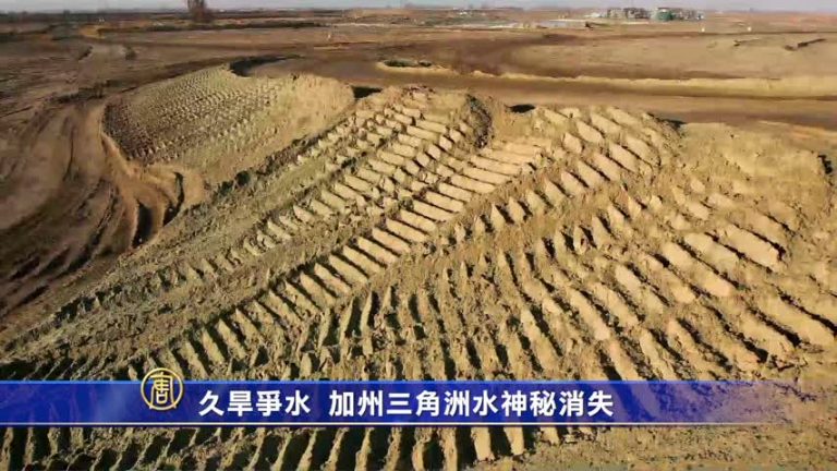 久旱爭水 加州三角洲水神秘消失