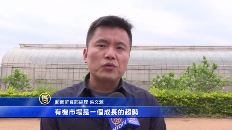 超商搶「綠金」 有機蔬菜拼商機