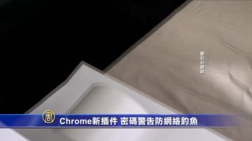 Chrome新插件 密碼警告防網絡釣魚