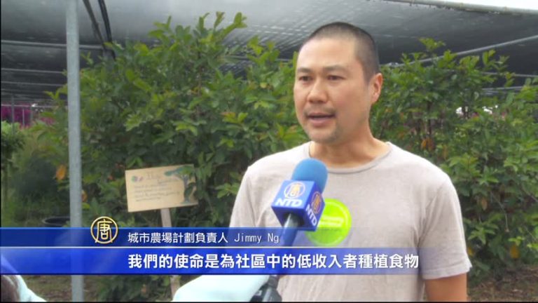 洛杉磯城市農場  體驗都市農夫樂