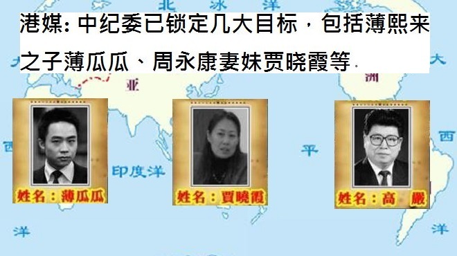 中紀委撒網「獵狐」港媒稱鎖定薄瓜瓜等