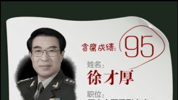 德媒：中紀委控制另類胡潤百富榜