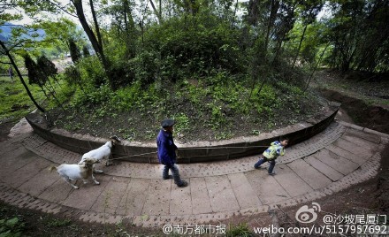 守護南宋丞相墓 川老人家族堅守8百餘年
