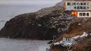 尼泊尔地震前 日本海岸隆起300米新大陆