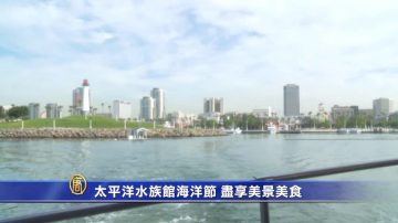 太平洋水族館海洋節 盡享景美食