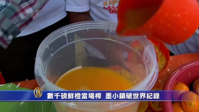 數千磅鮮橙當場榨  墨小鎮破世界記錄