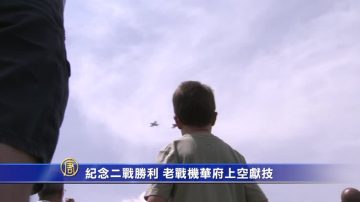 紀念二戰勝利 老戰機華府上空獻技