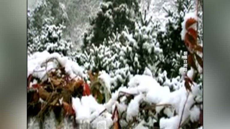 差點凍死在夏天！北京甘肅下五月雪