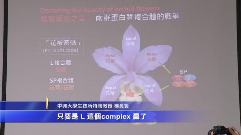 解密蘭花之美 興大登Nature Plants封面