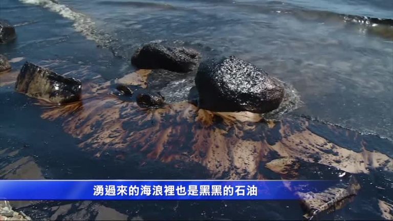 2.1萬加侖原油洩漏 染黑加州海灘