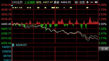 股市暴跌 股民人均赔1万 专家预言恐跌20%