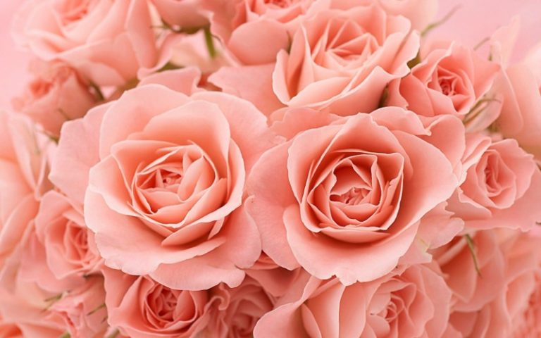 24歲患婦科重病 瀕死女奇遇竟產子