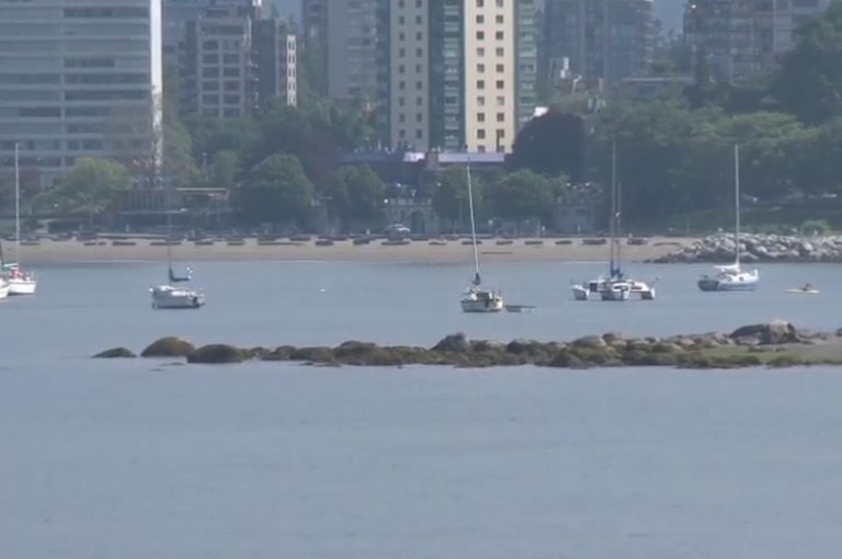 氣象專家預計今夏炎熱 山火高發