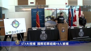 GTA大搜捕 国际犯罪组织19人被捕