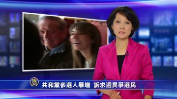 共和黨參選人暴增 訴求迥異爭選民