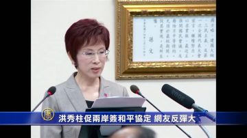 洪秀柱促两岸签和平协定 网友反弹大