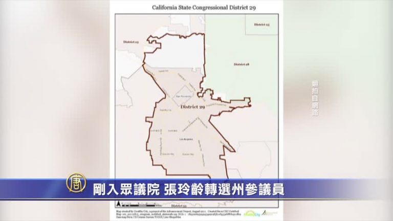 剛當眾議員 張玲齡要選州參議員