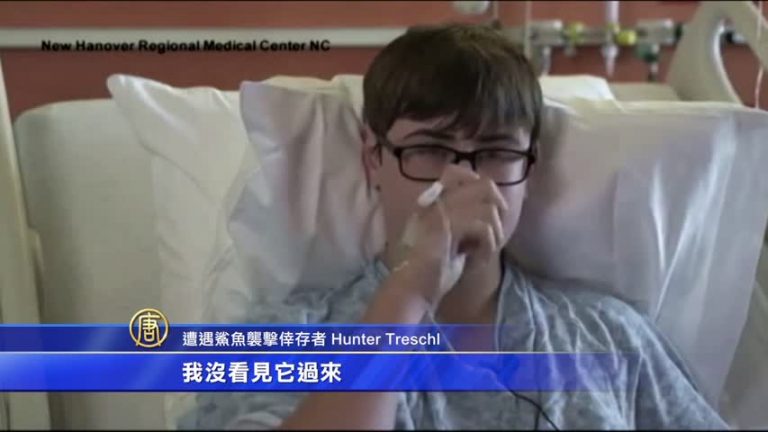 遭鯊魚咬失左臂 少年勇敢面對現實