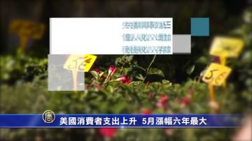 美國消費者支出上升 5月漲幅六年最大