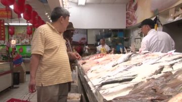 顶尖厨师决赛在即 纽约法拉盛选购食材
