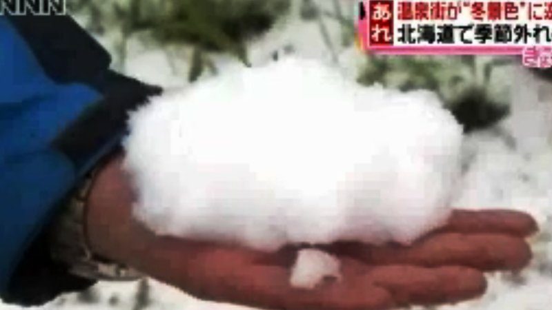 北海道首次六月飛雪 氣溫驟降 民眾欣喜