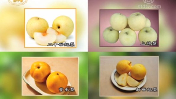 談古論今話中醫：梨子的妙用