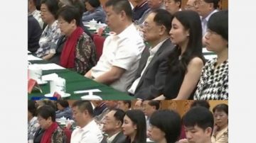 陈云美艳孙女陈晓丹突现身 大会堂高调亮相