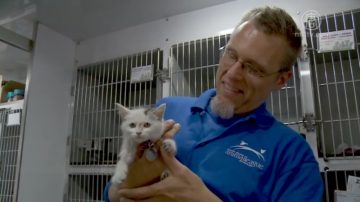 領養寵物有折扣 北岸動物聯盟擺攤