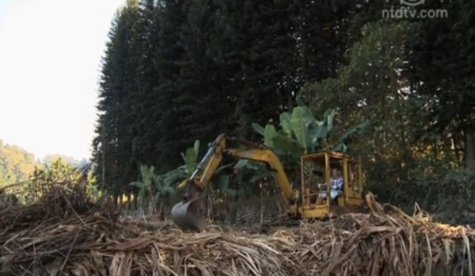 美麗心台灣：追夢田園 有機路上攜手堅持