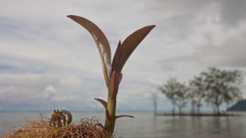 一个亿万富翁在弥留之际，留下了一份令人惊奇的遗嘱…