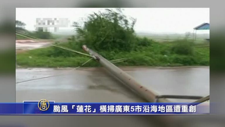 颱風「蓮花」橫掃廣東5市沿海地區遭重創
