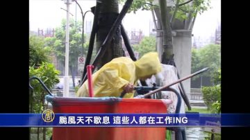 台风天不歇息 这些人都在工作ING