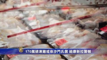 170万磅冻鸡或染沙门菌 纽康新拉警报